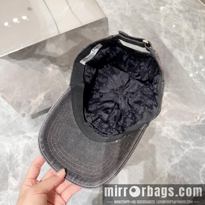 Dior Hat dx11