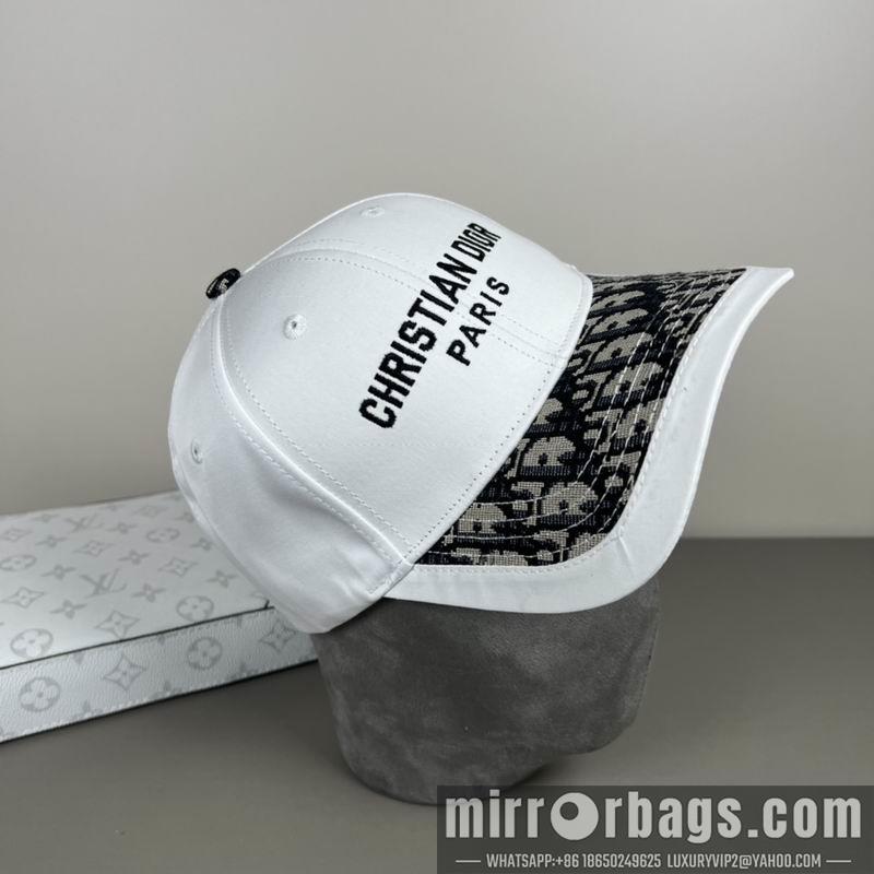 Dior Hat dx13