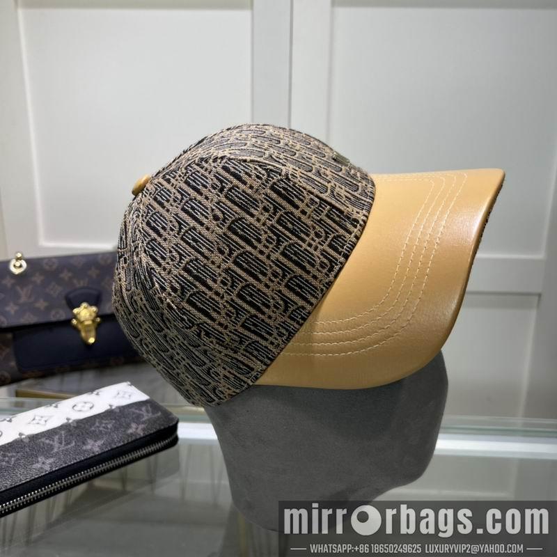 Dior Hat dxDior Hat dx73