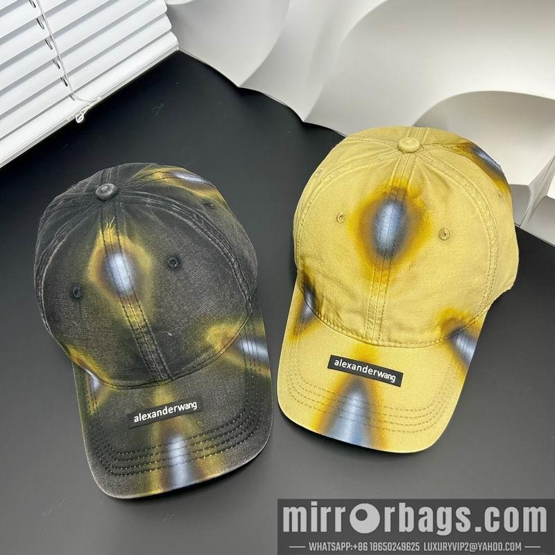 Alexander Wang Hat dx18