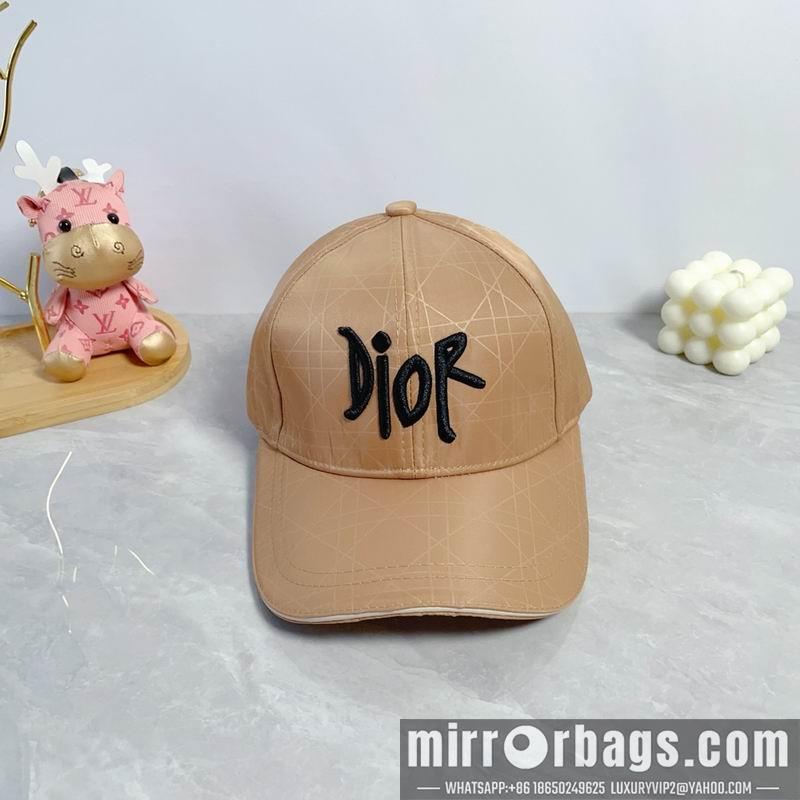 Dior Hat dx54