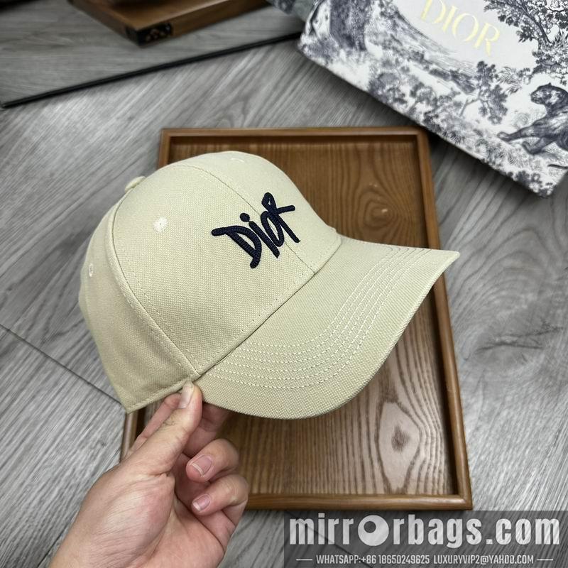 Dior Hat dx11