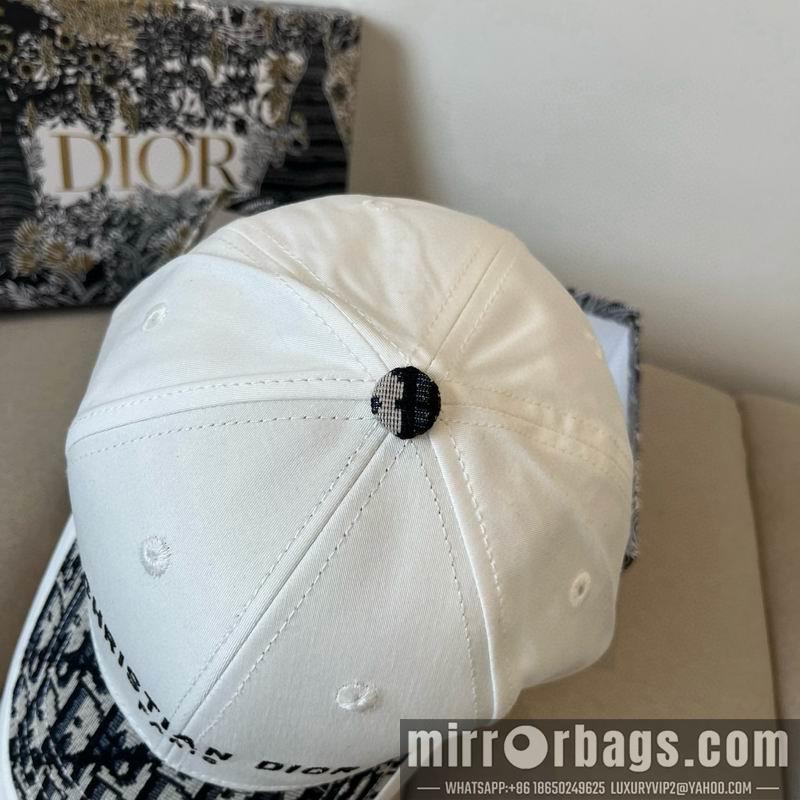 Dior Hat dx18