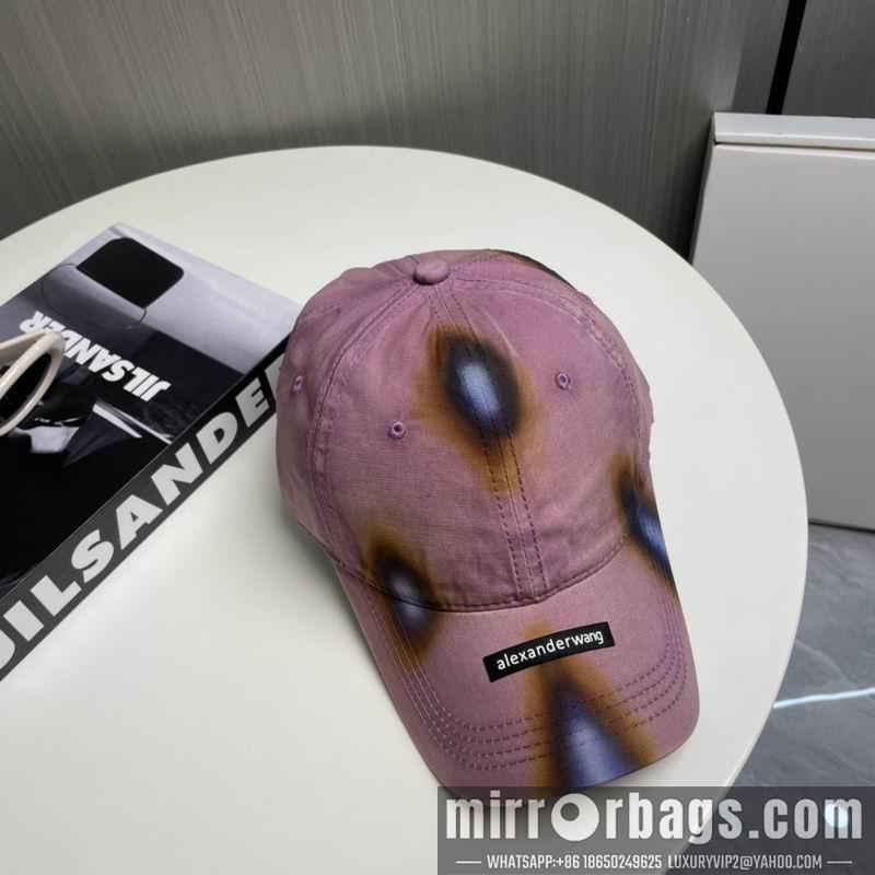 Alexander Wang Hat dx17