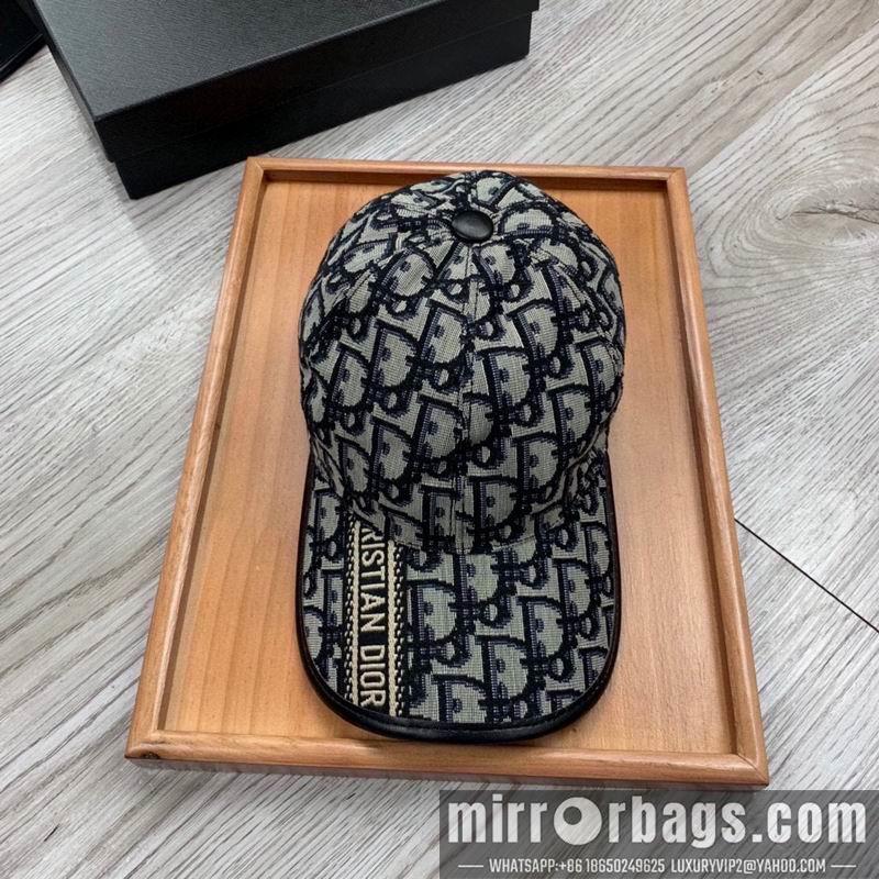 Dior Hat dx28