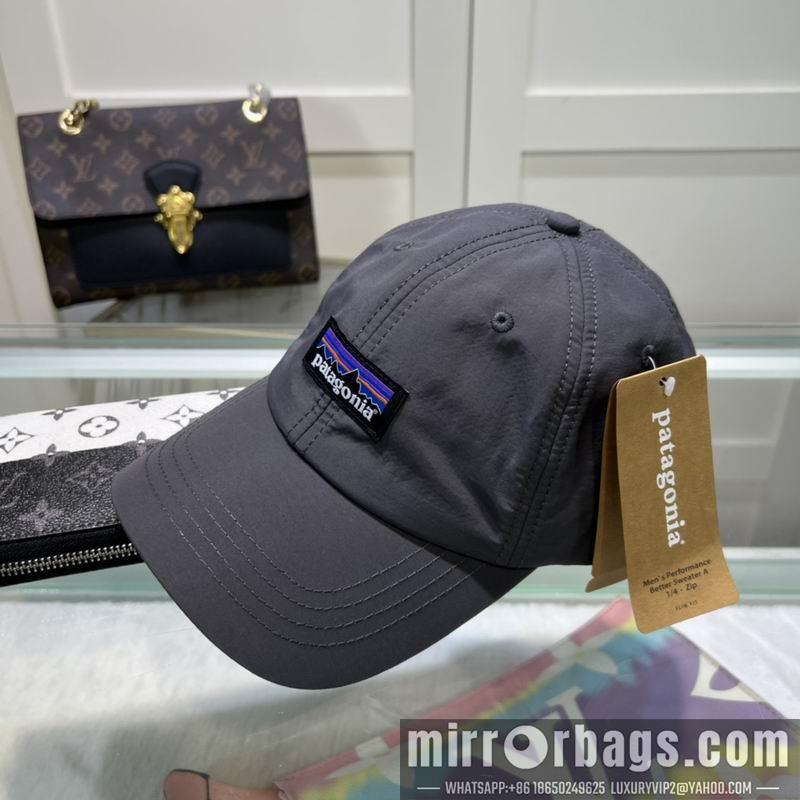 Patagonia Hat dx08