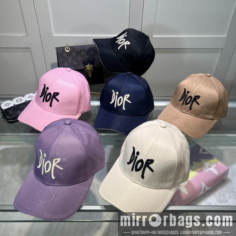 Dior Hat dx58