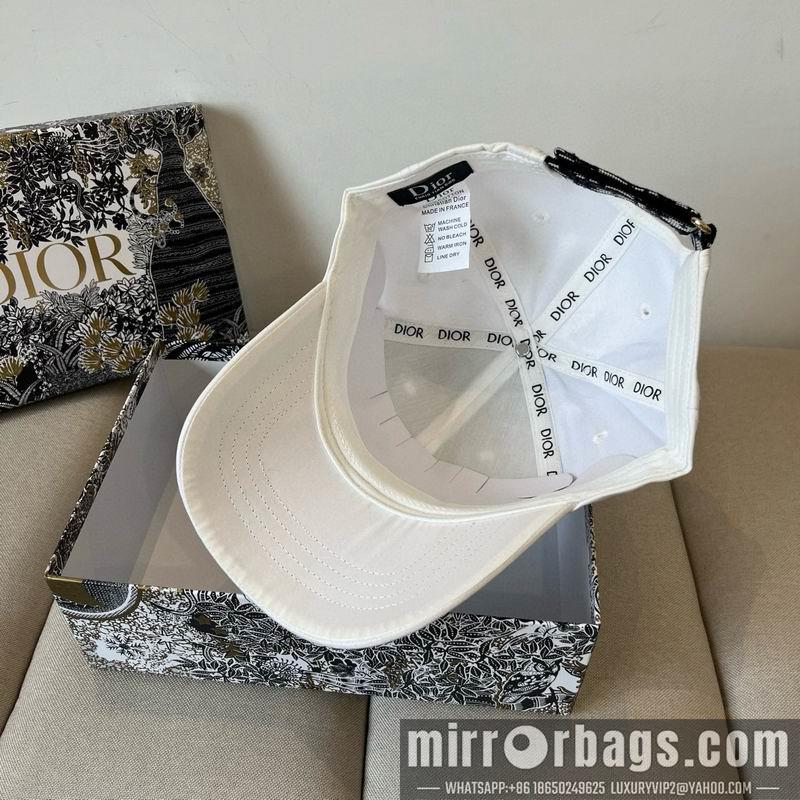 Dior Hat dx18