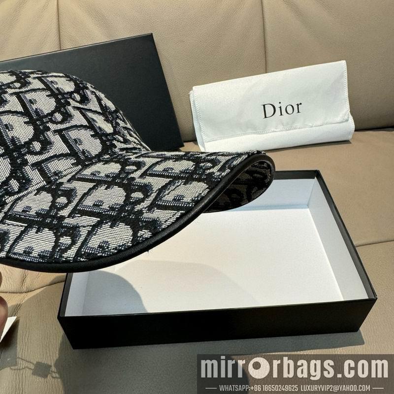 Dior Hat dx76