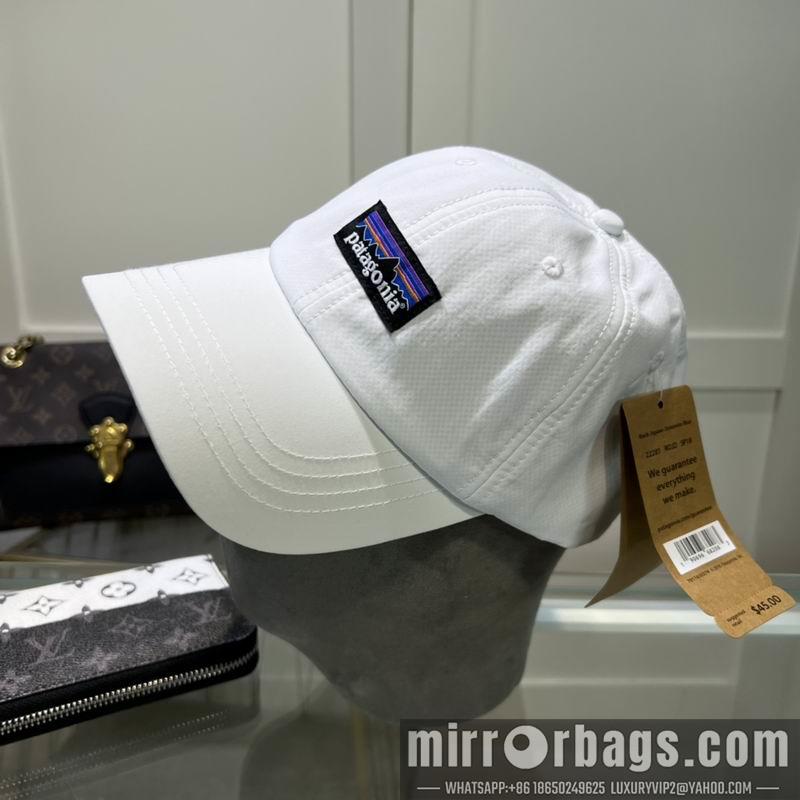 Patagonia Hat dx08