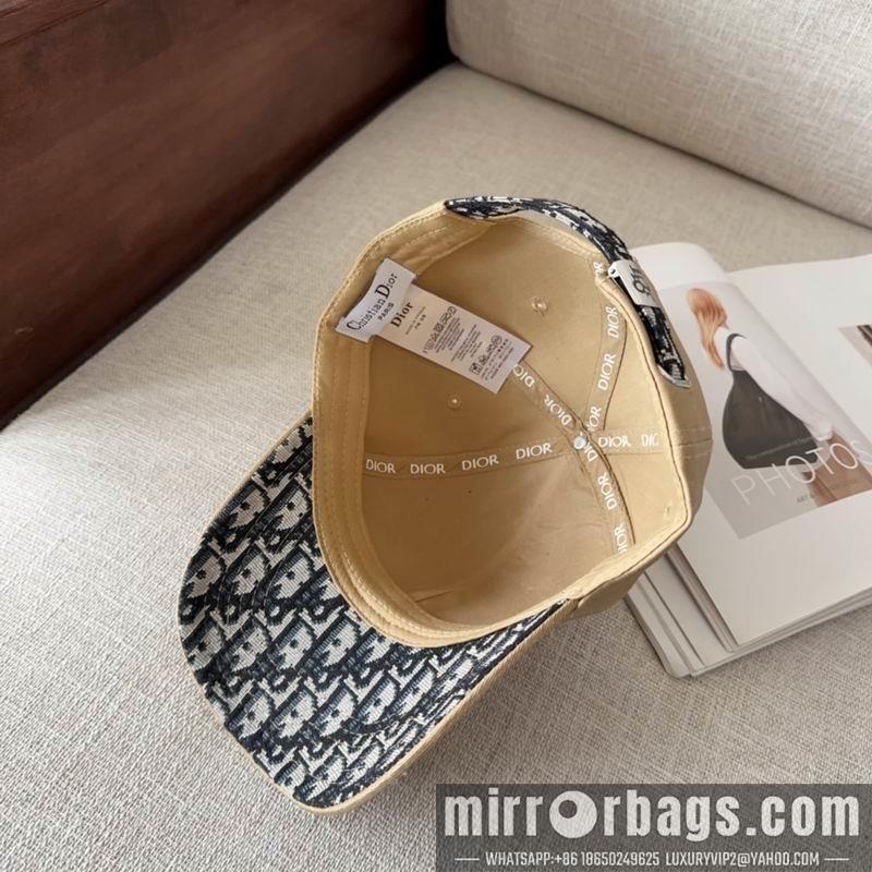 Dior Hat dx11