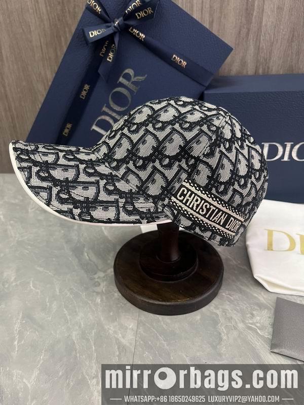 Dior Hat dx06