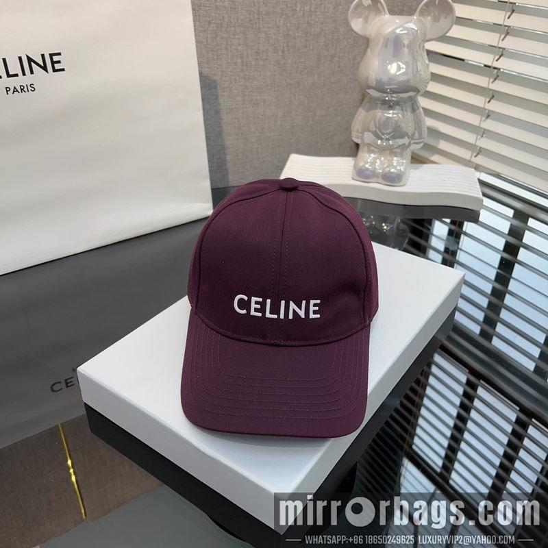 Celine Hat dx80