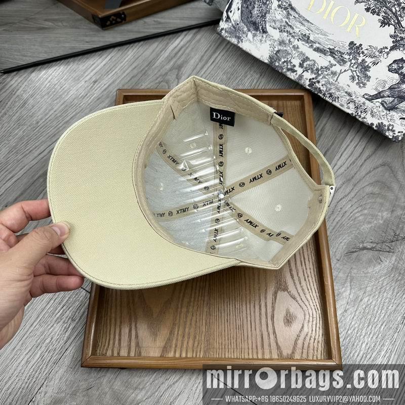 Dior Hat dx11