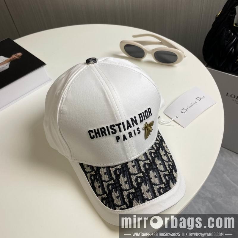 Dior Hat 081001