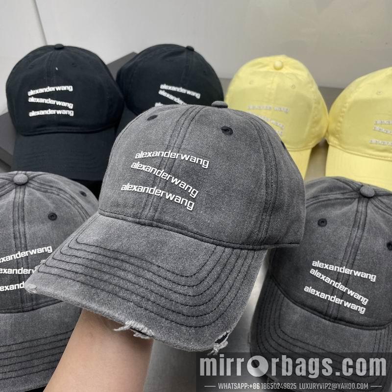 Alexander Wang Hat dx21
