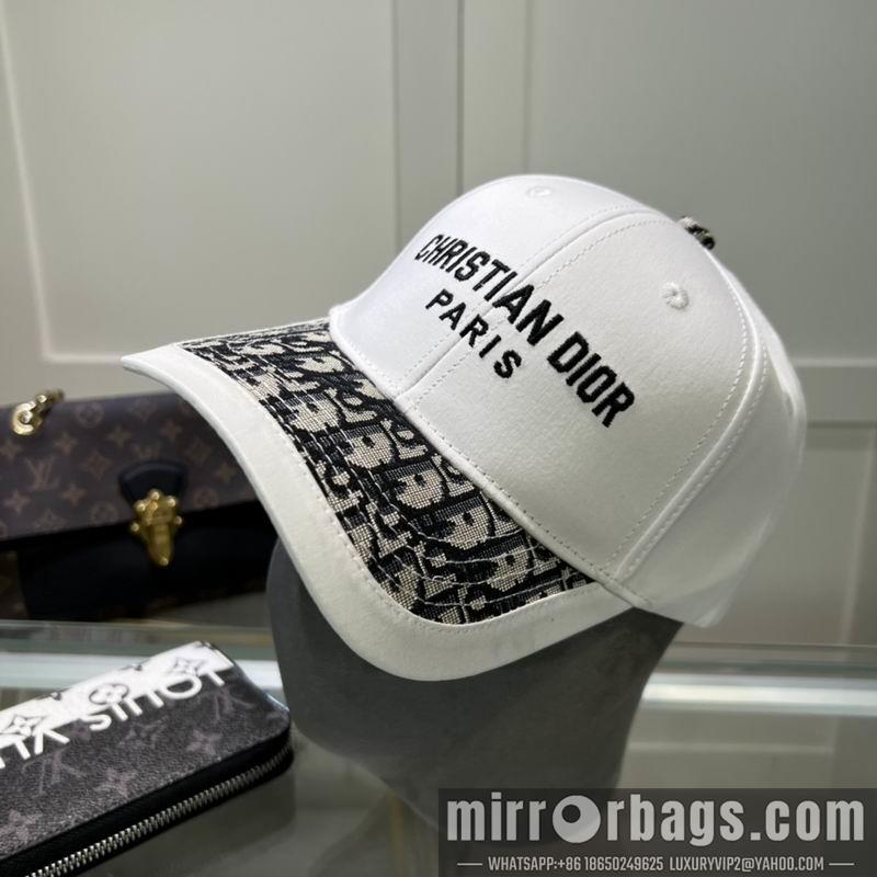 Dior Hat dx10