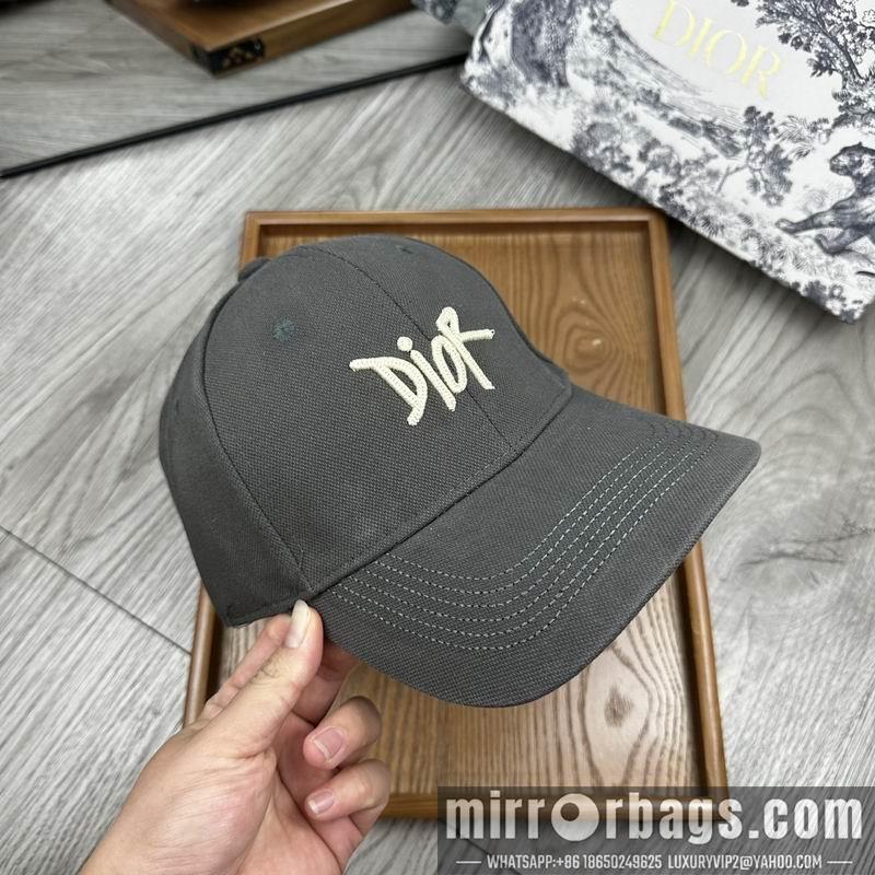 Dior Hat dx11