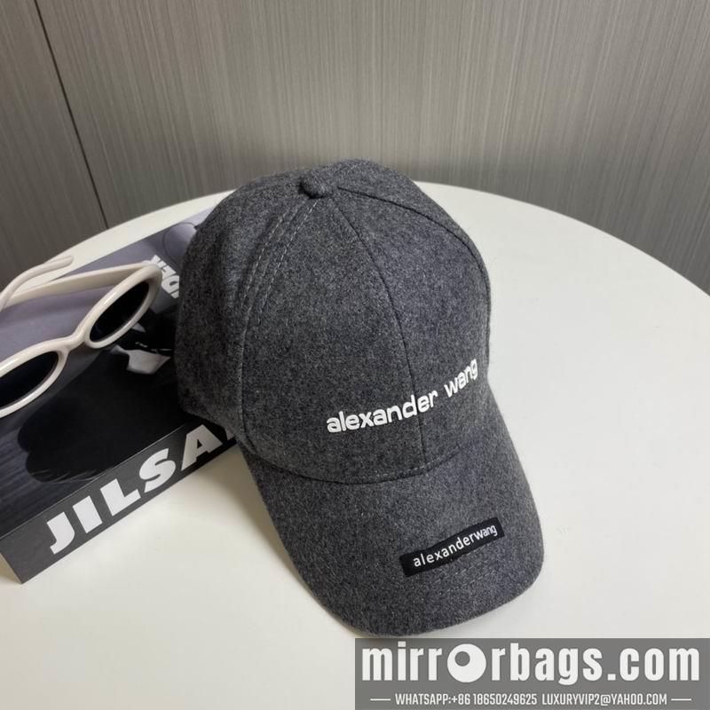 Alexander Wang Hat dx16