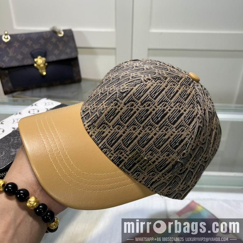 Dior Hat dxDior Hat dx73
