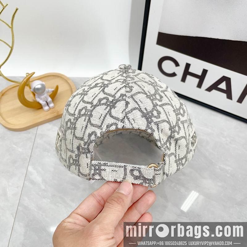 Dior Hat dx12