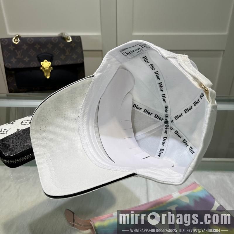 Dior Hat dx56