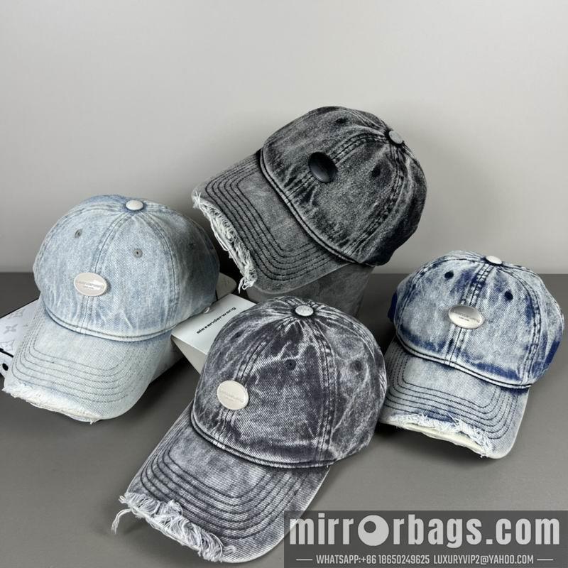 Alexander Wang Hat dx20