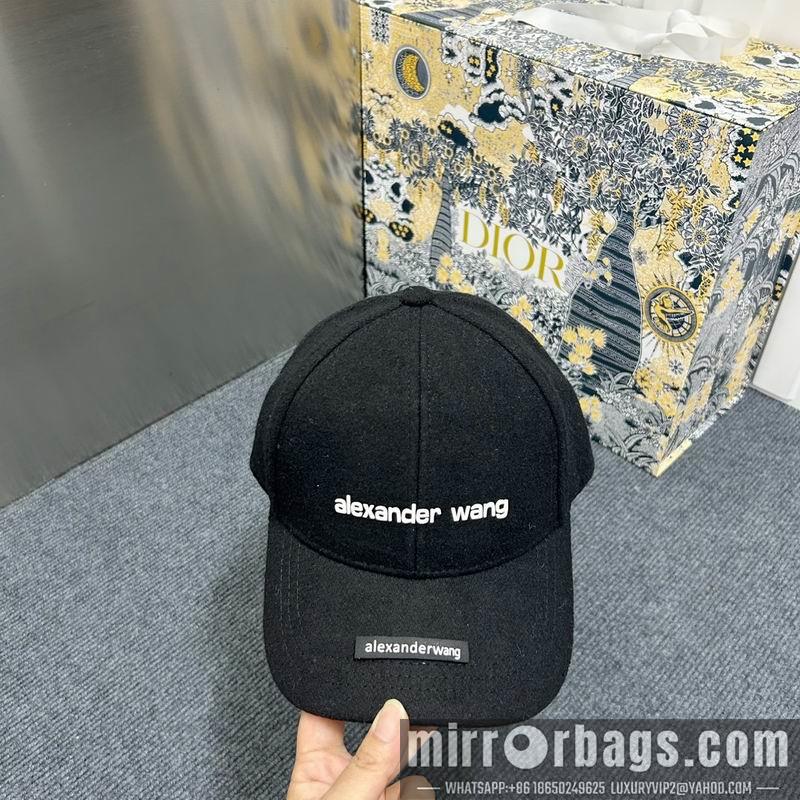 Alexander Wang Hat dx15