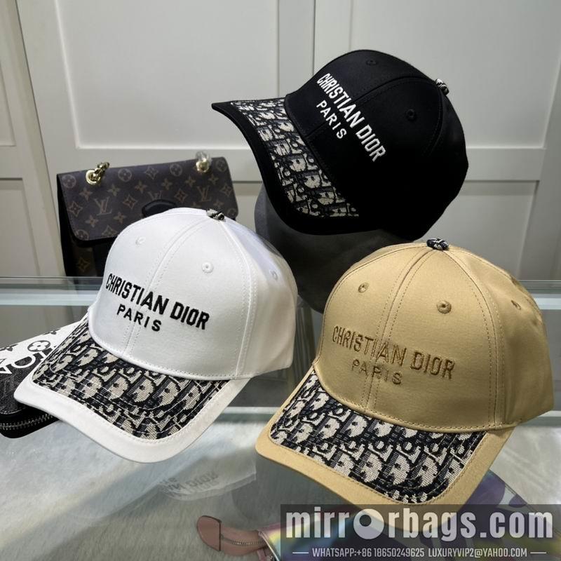 Dior Hat dx10