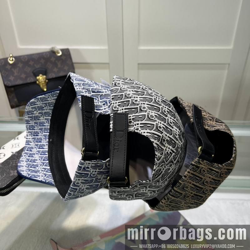 Dior Hat dxDior Hat dx73