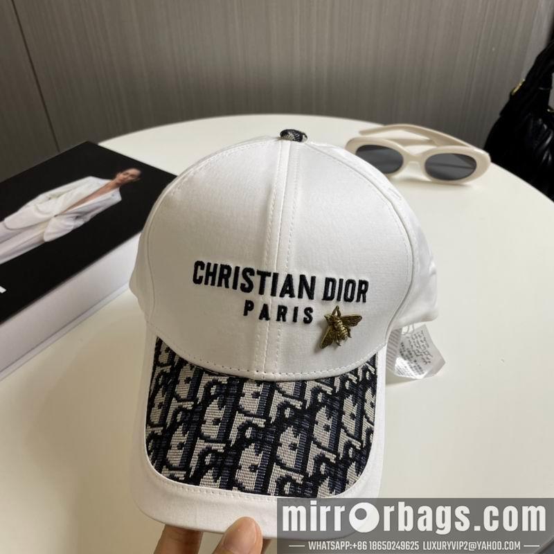 Dior Hat 081001