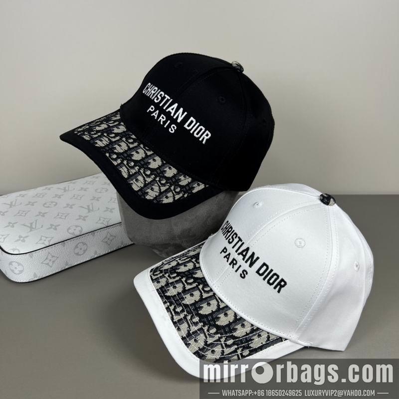 Dior Hat dx13