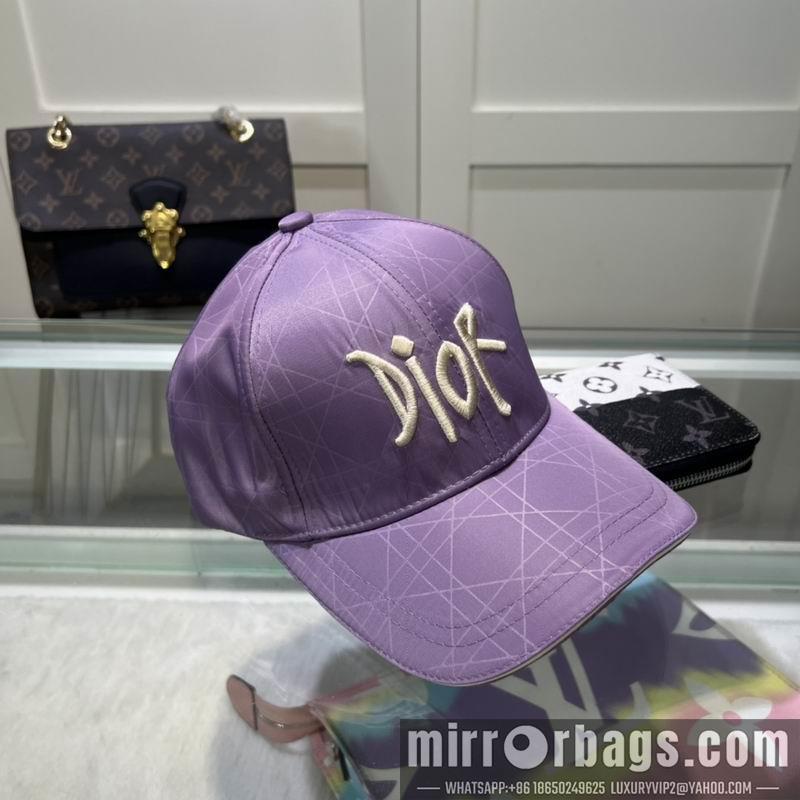 Dior Hat dx58
