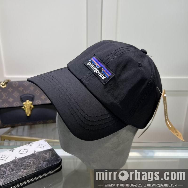 Patagonia Hat dx08