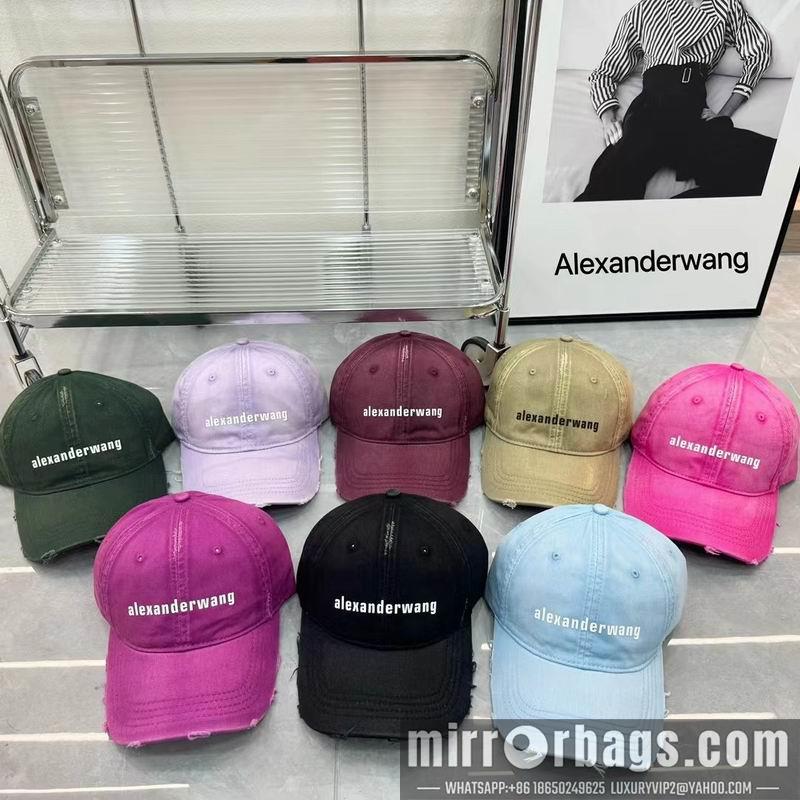 Alexander Wang Hat dx01