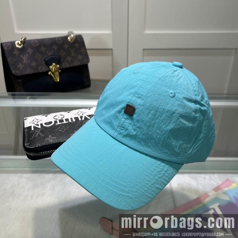 Acne Hat 042702
