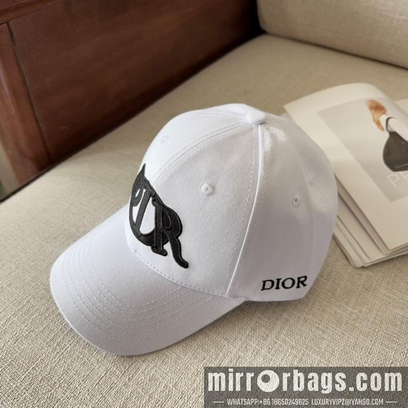 Dior Hat dx11