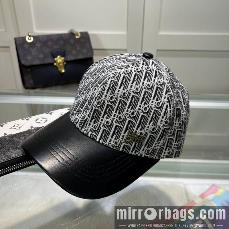 Dior Hat dxDior Hat dx73