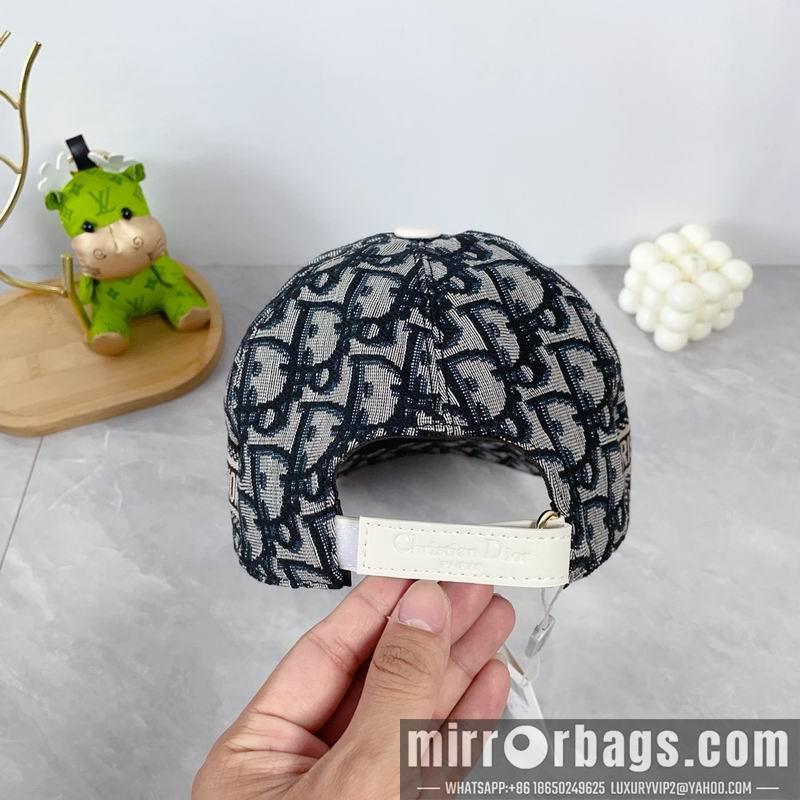 Dior Hat dx66