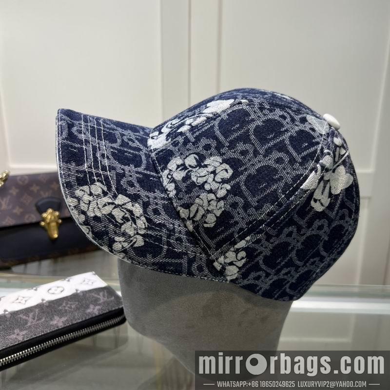 Dior Hat dx29