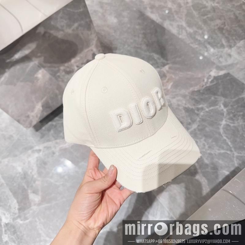 Dior Hat dx12