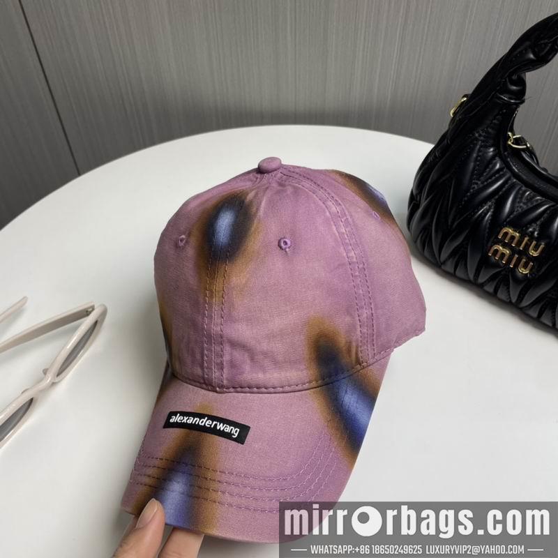 Alexander Wang Hat dx17