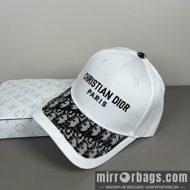 Dior Hat dx13