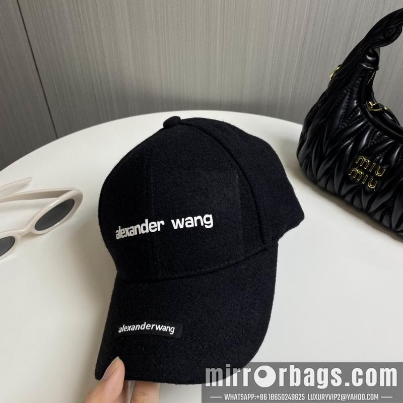 Alexander Wang Hat dx16