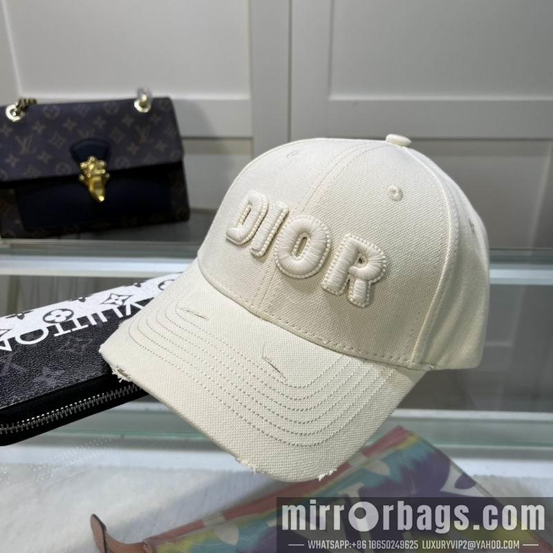 Dior Hat hm18