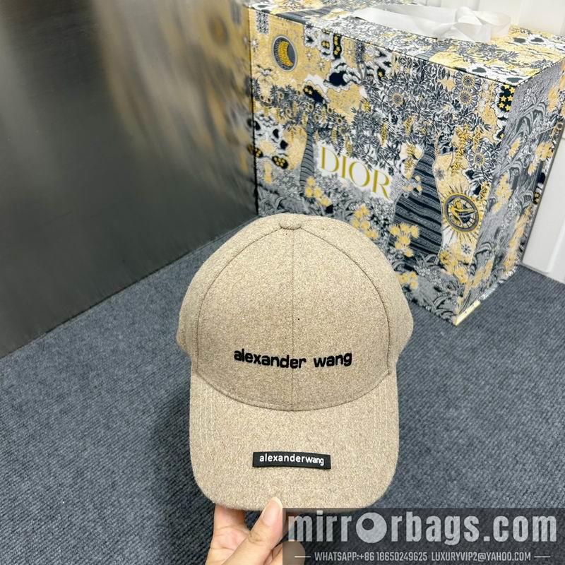 Alexander Wang Hat dx15