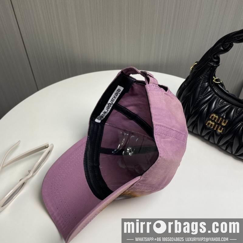 Alexander Wang Hat dx17
