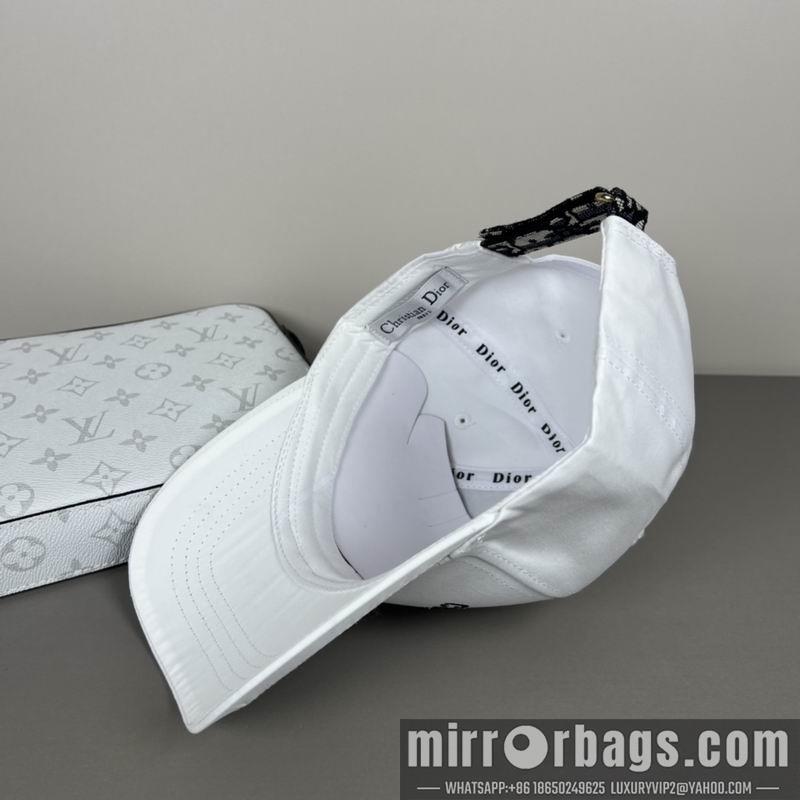 Dior Hat dx13