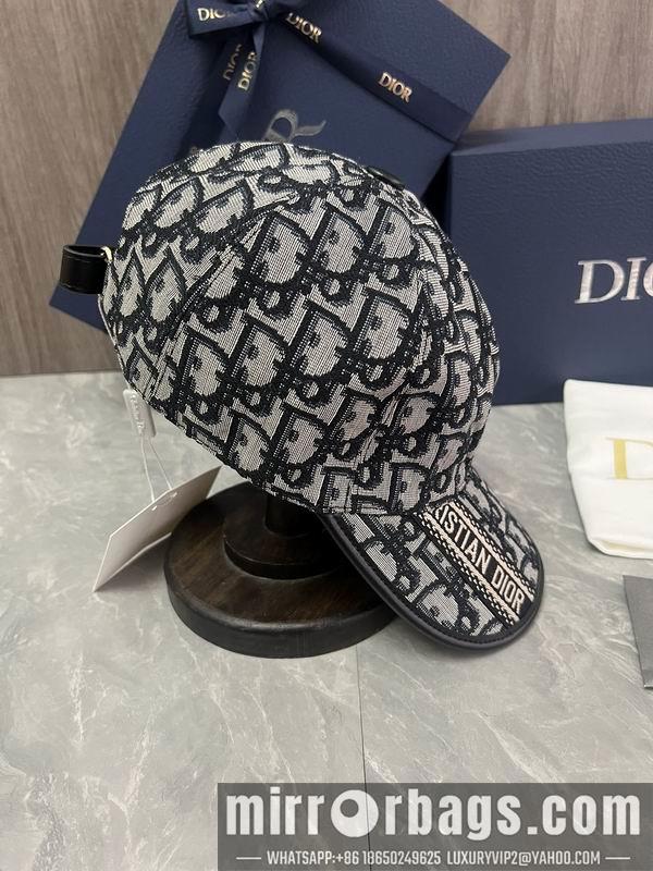 Dior Hat dx06