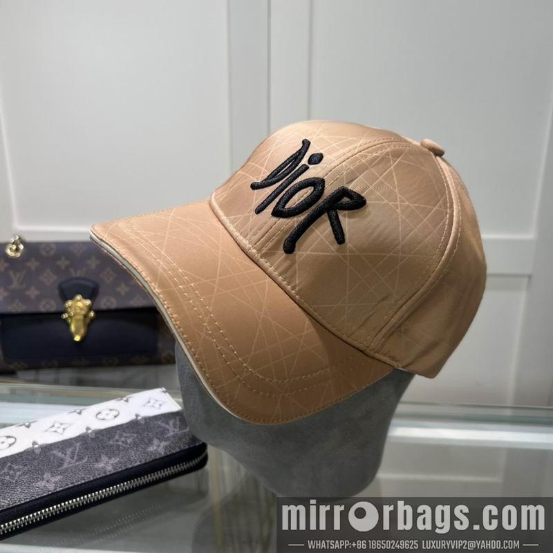 Dior Hat dx58